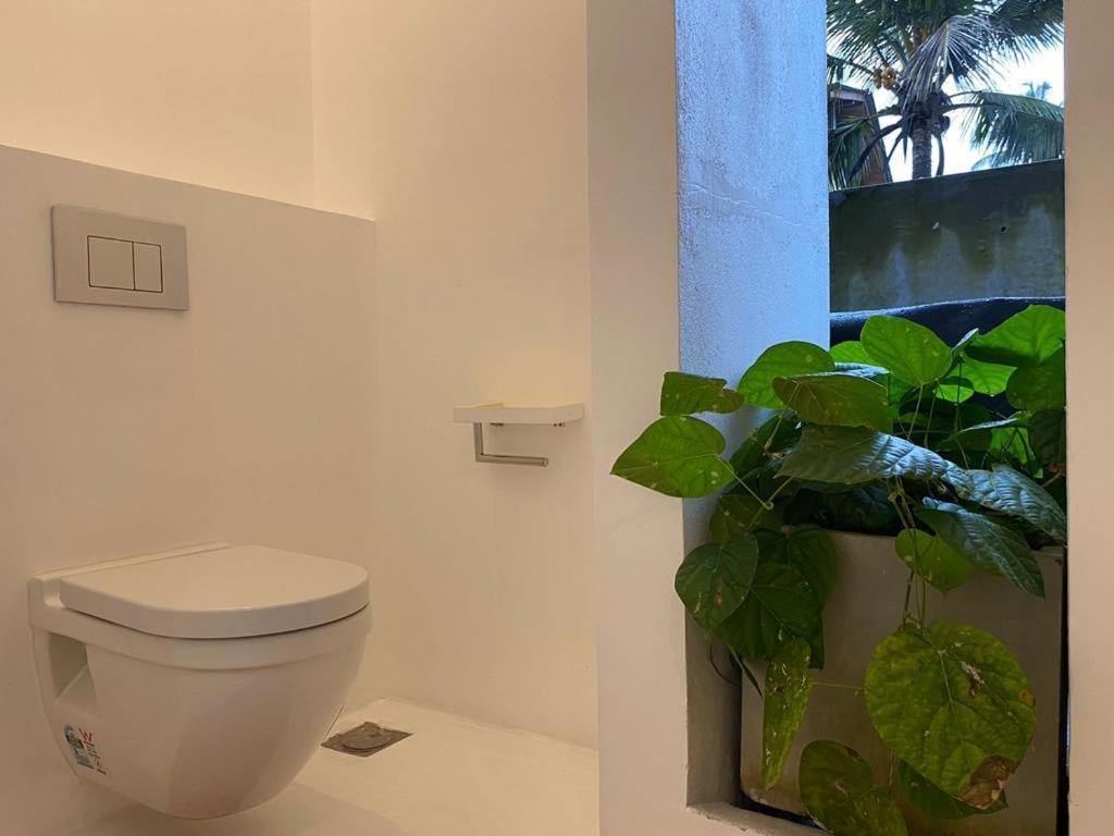 Saffron Robes Living Hotel Hikkaduwa Bagian luar foto